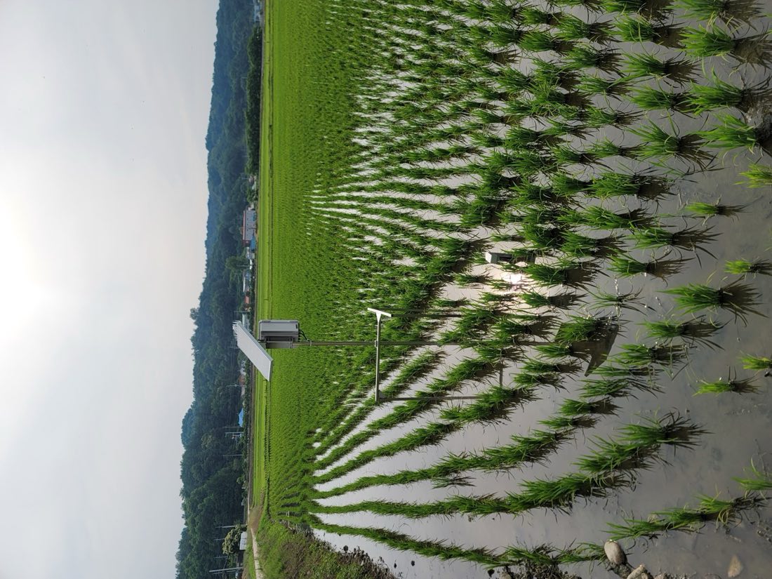 비트버스 환경 모니터링 현장